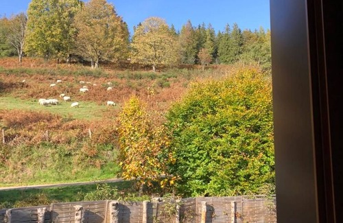 Fresse-sur-Moselle Cottage | Rural cottage in Vosges, 6 pers., WiFi, parking, bikes welcome
