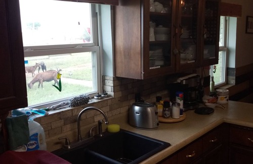 Dublin Bed & Breakfast | Rural Oasis - King's Private Room and Shared Bathroom