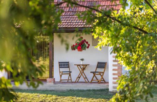 Vardarac House | Ruralna kuća za odmor Bor Anya