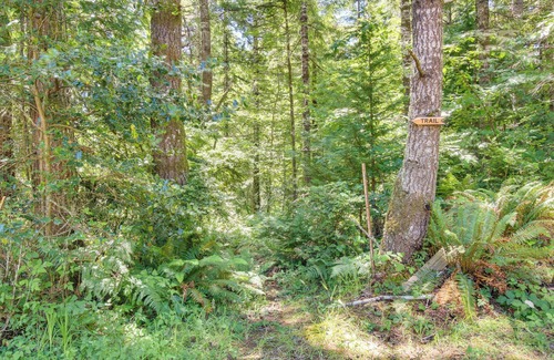 Bandon Cottage | Rustic Bandon Log Cabin on 5 Acres of Woodlands!