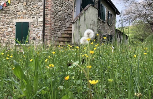 Monterenzio House | Rustic between oaks and tamarisks, in the Valle Del Sillaro.