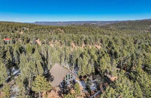 Woodland Park House | Rustic cabin charm w/hot tub, arcade basketball