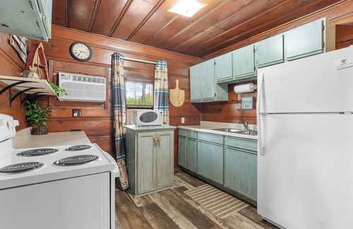 Boone County Cabin | Rustic charm/Cozy comfort-1-bedroom cabin/Ozark view nestled by Bull Shoals Lake