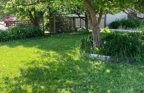 Saint John House | Rustic Escape - Cozy, Central & Pet-Friendly