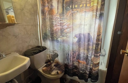 Dillon Cabin | Rustic, Horse Prairie Room with 3 Beds in Grant MT.