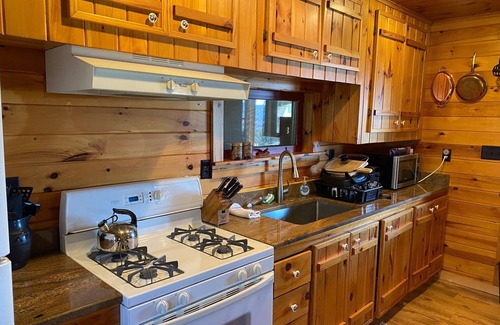 Dansville Cabin | Rustic Log Cabin with Pond and Breathtaking View