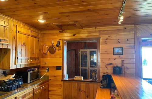 Dansville Cabin | Rustic Log Cabin with Pond and Breathtaking View