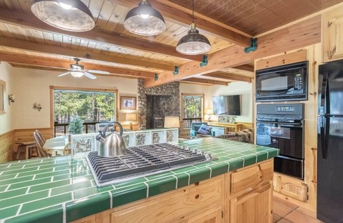 Shingletown Cabin | Rustic Mountain Cabin - 9 Miles to Lassen Park-EV Charging