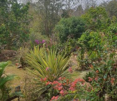 Soppong House | Rustic palace Pai, Thailand