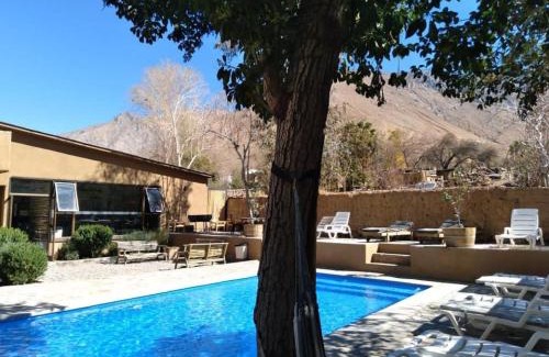 Pisco Elqui Hotel | Ruta Elqui