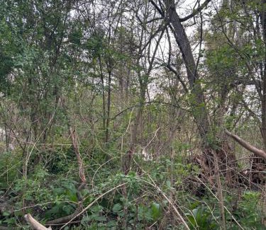 La Celle-sous-Gouzon Other | Séjour insolite sur une île