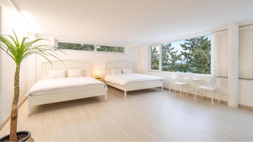 Samcheok House | Samcheok Migaloo Pool Villa Pension