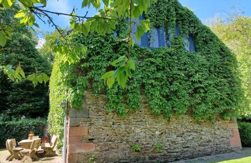 Wallscheid Apartment | Sammetbach