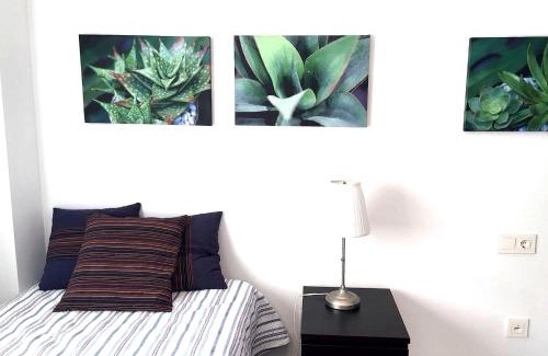 Ames Apartment | Santiago de Compostela