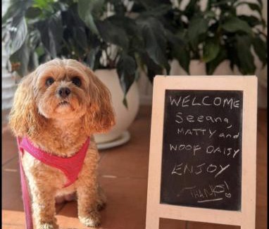 Sapphire Beach Apartment | Sapphire Beach Pet Friendly Beach 5 minute walk