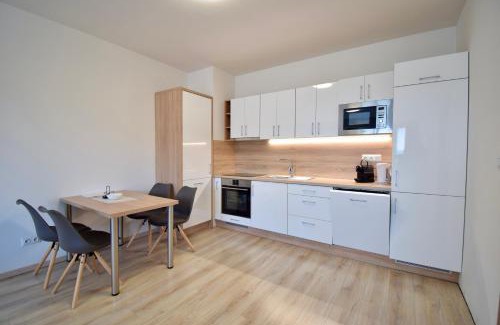 Trencin Apartment | Saratovská