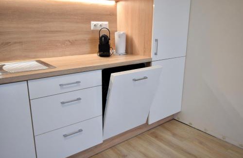 Trencin Apartment | Saratovská