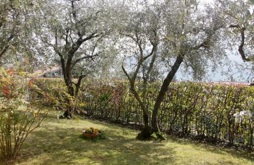 Sarnico House | Sarnico giardino sul lago