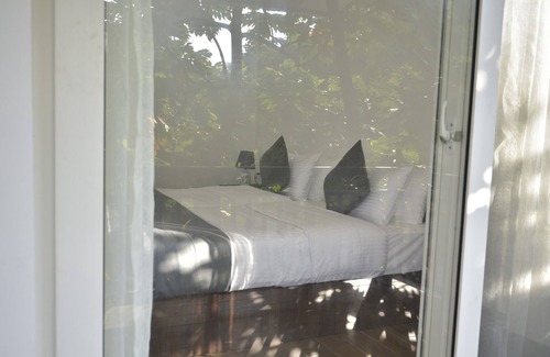Kakkadampoyil Resort | Sattva, the awakening garden