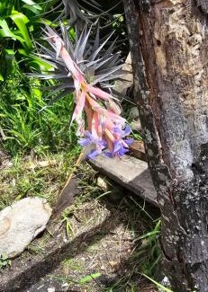 Joubertina Cabin | Scalarhoney Lodge