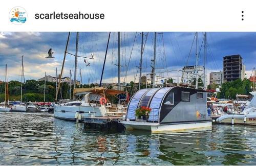 Old Town Boat Rental | Scarlet Sea House