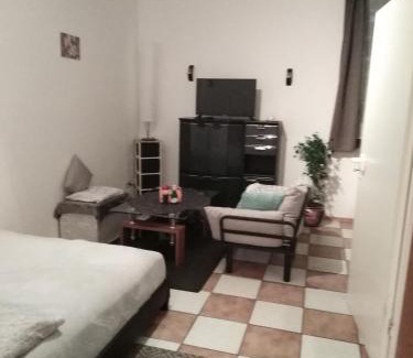 Fraulautern Apartment | Schöne Studiowohnung, renoviert, zentrale Lage