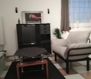 Fraulautern Apartment | Schöne Studiowohnung, renoviert, zentrale Lage
