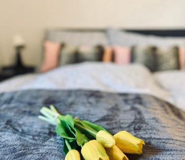 Bremen-Vegesack Apartment | Schönes 2 Zimmer Apartment, ruhig und gemütlich