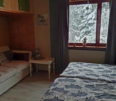 Harmanger House | Schnieders2German forest room
