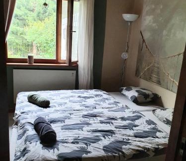 Harmanger House | Schnieders2German forest room