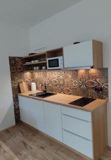 Hostejn House | Schupplerova vila