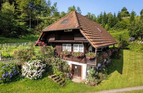 Zell am Harmersbach House | Schwarzwald Buchenhof