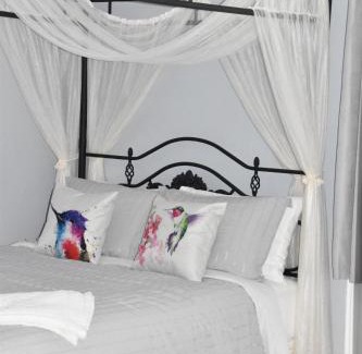Pictou Bed & Breakfast | Seabank House Bed and Breakfast Hummingbird