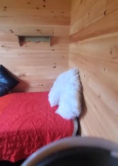 Rocky Point House | SeaShells Cottage