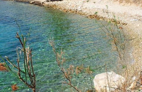 Cove Makarac (Milna) House | Secluded family friendly house Milna, Brac - 12229