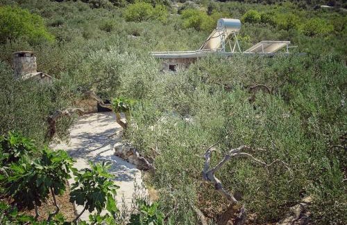 Povlja House | Secluded holiday house Povlja, Brac - 14500