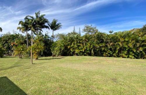 Leilani Estates House | Secluded house, Opening special!