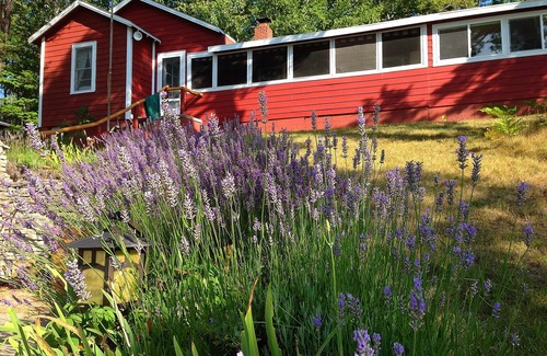 Lake Ann House | Secluded Lake Ann Cottage. Near Interlochen, Sleeping Bear, Traverse City