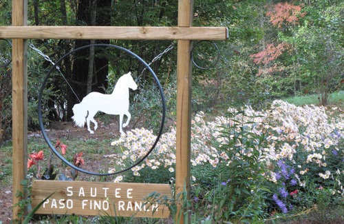 Sautee Nacoochee Cabin | Secluded Log Cabin on creek; near Helen, Anna Ruby Falls and Unicoi