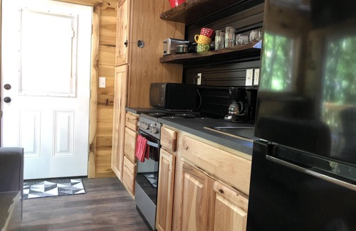 Rogers Cabin | Secluded Tiny House with Hot Tub
