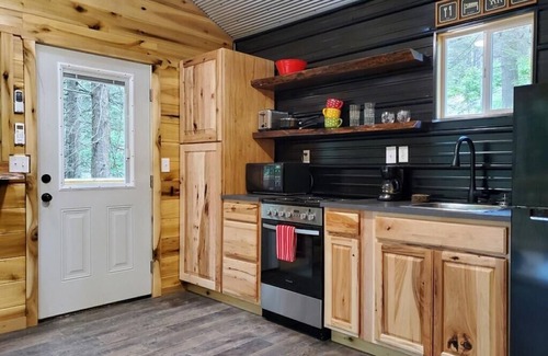 Rogers Cabin | Secluded Tiny House with Hot Tub
