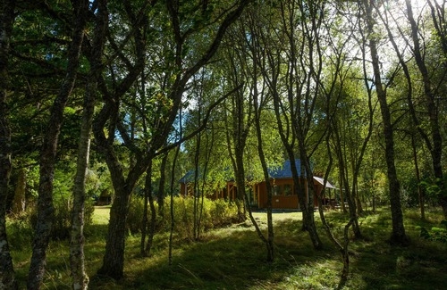 Cannich Cabin | Secluded woodland cottage on the banks of a pristine Highland river