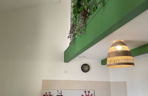 Baille Apartment | Secret Jungle