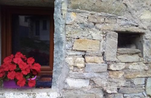 Tosca Apartment | Segarati Relax Ca Perdissi
