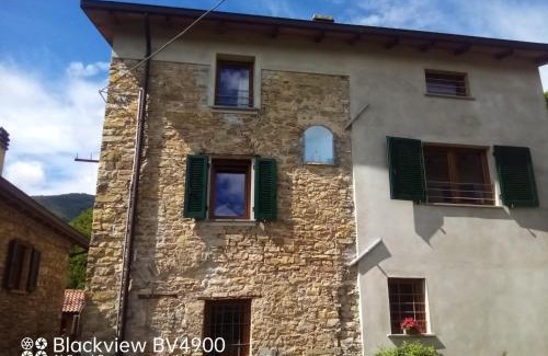 Tosca Apartment | Segarati Relax Ca Perdissi