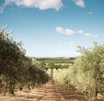 Alignan-du-Vent Bed & Breakfast | Seigneurie de Peyrat