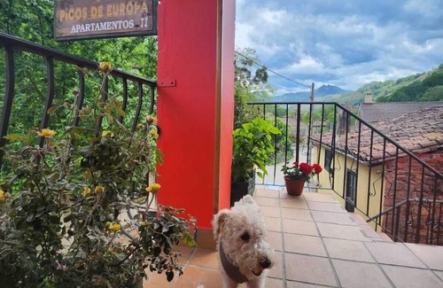 Soto de Cangas Apartment | Self catering Aptos rurales Camino Picos de Europa for 9 people