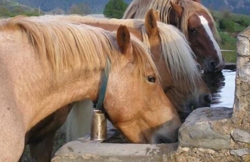 Campelles Cottage | Self catering Can Tubau for 25 people
