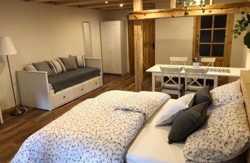 Meclov House | Selská chalupa Anetka