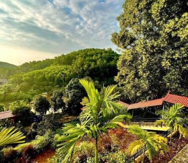 Ha Hoa Hotel | Sen Homestay